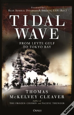 Capa do artigo Tidal Wave