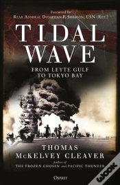 Capa do artigo Tidal Wave