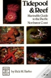 Capa do artigo Tidepool & Reef