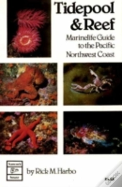 Capa do artigo Tidepool & Reef