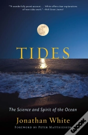 Capa do artigo Tides