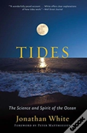 Capa do artigo Tides