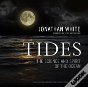 Capa do artigo Tides