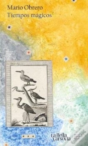 Capa do artigo Tiempos Magicos