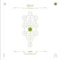 Tiferet - CD - Preview