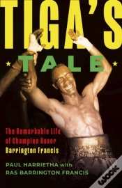 Capa do artigo Tiga