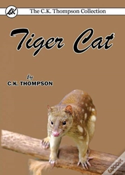 Capa do artigo Tiger Cat