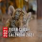 Tiger Cubs Calendar 2021 - Preview