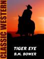 Tiger Eye - Preview