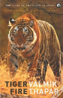 Capa do artigo Tiger Fire