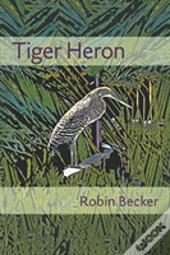 Tiger Heron