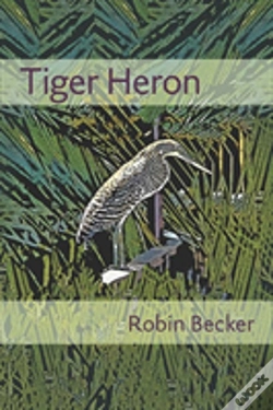 Capa do artigo Tiger Heron