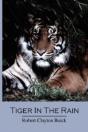 Tiger In The Rain - Preview
