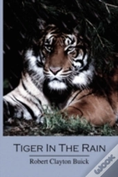 Tiger In The Rain