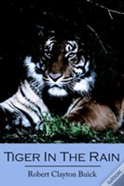 Capa do artigo Tiger In The Rain