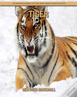 Capa do artigo Tiger