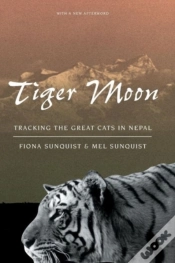 Capa do artigo Tiger Moon