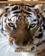 Tiger - Preview
