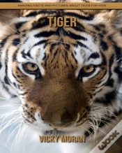 Capa do artigo Tiger