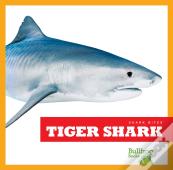 Tiger Shark