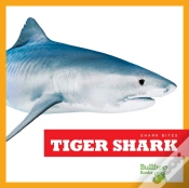 Capa do artigo Tiger Shark