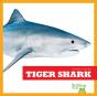 Tiger Shark - Preview