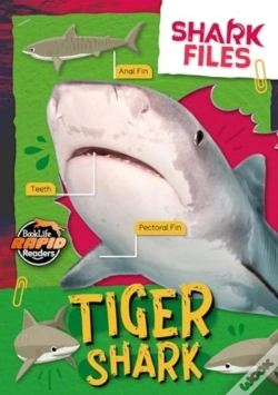 Capa do artigo Tiger Shark