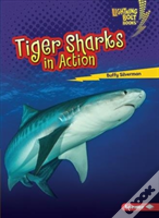 Tiger Sharks In Action