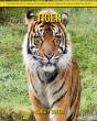 Tiger - Preview