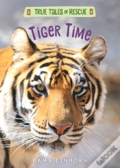 Capa do artigo Tiger Time