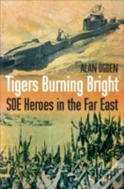 Capa do artigo Tigers Burning Bright