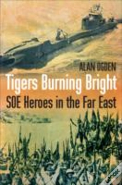 Capa do artigo Tigers Burning Bright