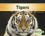 Tigers - Preview