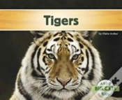 Capa do artigo Tigers