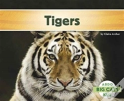Capa do artigo Tigers