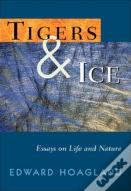 Tigers & Ice