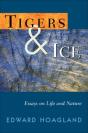 Tigers & Ice - Preview