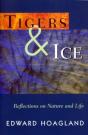 Tigers & Ice - Preview
