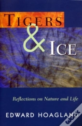 Tigers & Ice