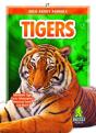 Tigers - Preview