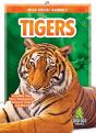 Tigers - Preview