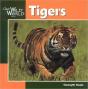 Tigers - Preview
