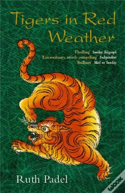 Capa do artigo Tigers In Red Weather
