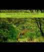 Tigers In The Emerald Forest - Preview