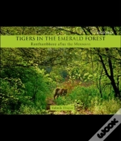 Capa do artigo Tigers In The Emerald Forest