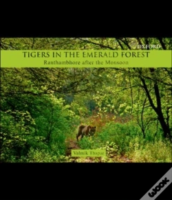 Capa do artigo Tigers In The Emerald Forest