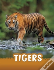 Capa do artigo Tigers