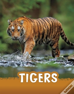 Capa do artigo Tigers