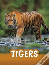 Capa do artigo Tigers