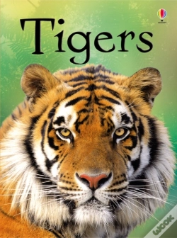 Capa do artigo Tigers